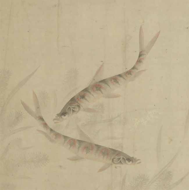 Joy in fish
